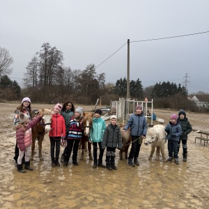 KONĚ 2/2026